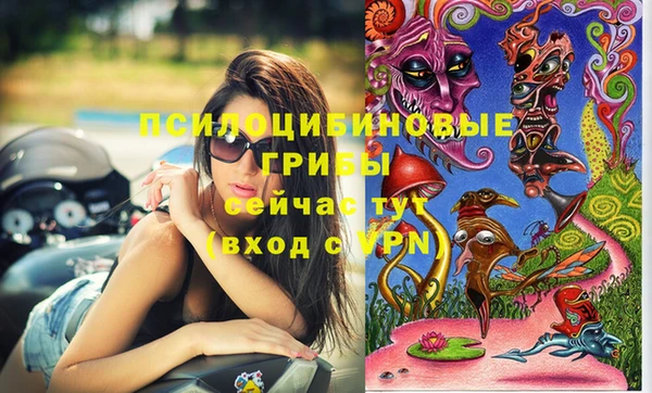 дживик Алексеевка