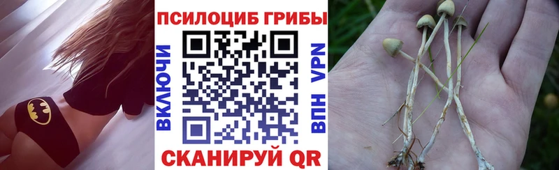 Галлюциногенные грибы мицелий  Отрадная 